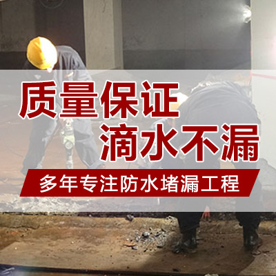 胡市镇防水堵漏工程