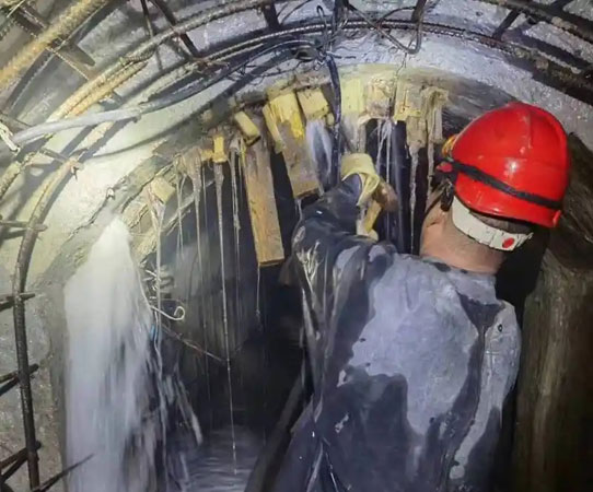 胡市镇大坝堵漏